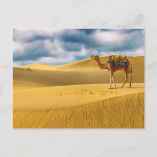 Öknar Tharöknen Rajasthan Indien Kamel Vykort