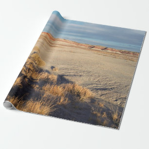Öknen landskap med att vinka skuggar fotoet presentpapper