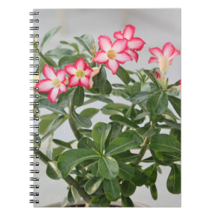 Öknen steg blommaväxten anteckningsbok med spiral