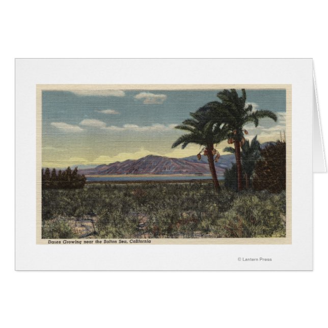 Ökning av Data nära Salton Sea Hälsningskort (Framsidan Horizontal)