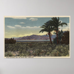 Ökning av Data nära Salton Sea Poster