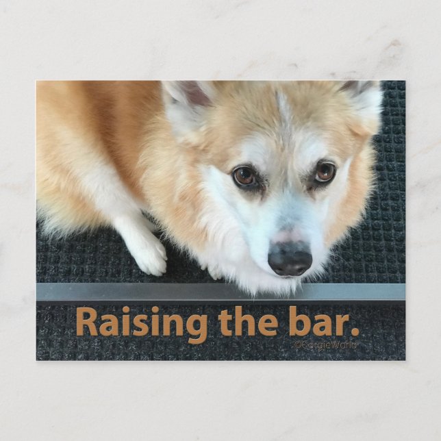 Ökning av vykortet Pub Corgi Vykort (Framsida)