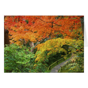 Okochi Sanso, Arashiyama, Kyoto, Japan 2 Hälsningskort