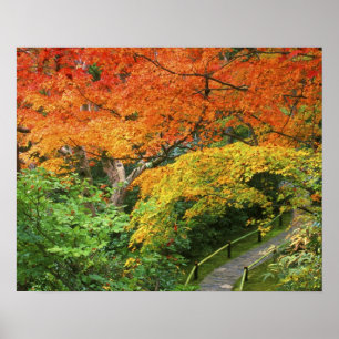 Okochi Sanso, Arashiyama, Kyoto, Japan 2 Poster