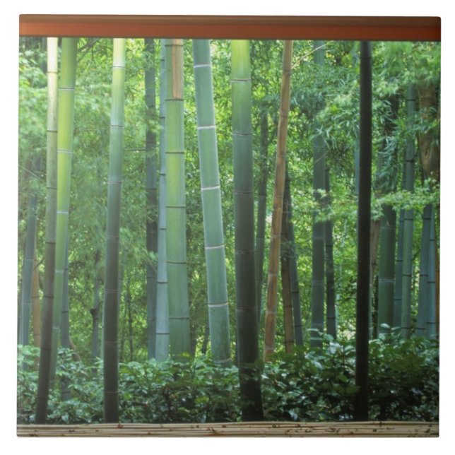 Okochi Sanso, Arashiyama, Kyoto, Japan 3 Kakelplatta (Framsidan)