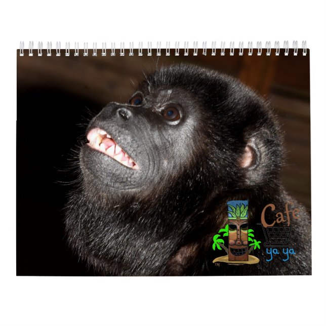 Ökonst Tropical Calendar Kalender (Baksida)