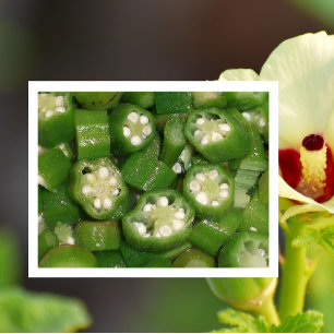 Okra i skivor vykort
