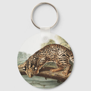 Oktelot, leopard Cat (Felis pardalis) Illustration Nyckelring