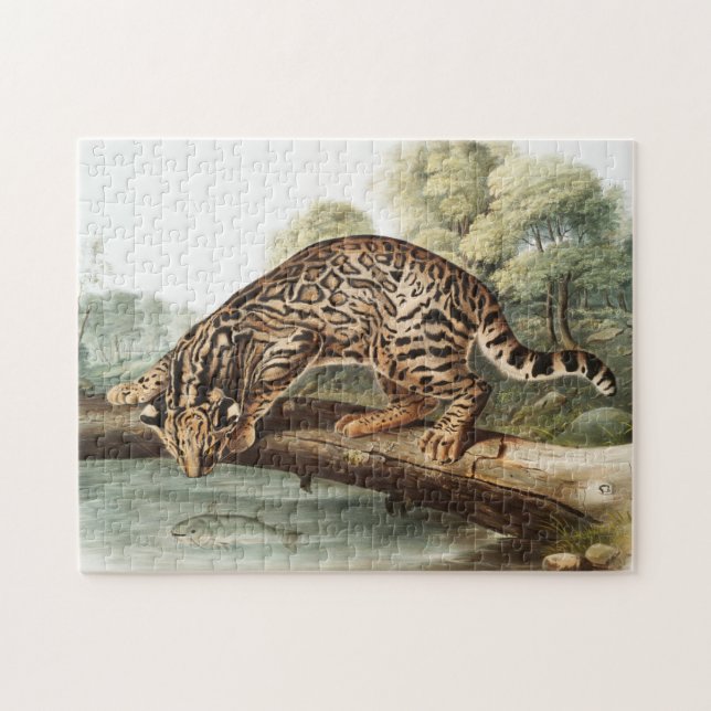 Oktelot, leopard Cat (Felis pardalis) Illustration Pussel (Horisontell)