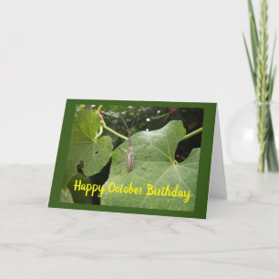 **OKTOBER BIRTHDAY ÖNSKEMÅL** med COOLAN KRYP Kort