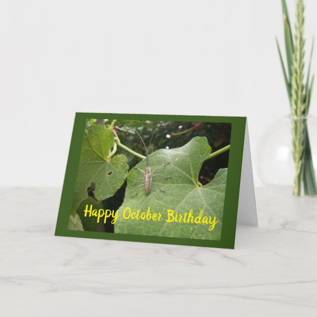 **OKTOBER BIRTHDAY ÖNSKEMÅL** med COOLAN KRYP Kort (Framsida)