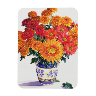 Oktober Chrysanthemums Magnet