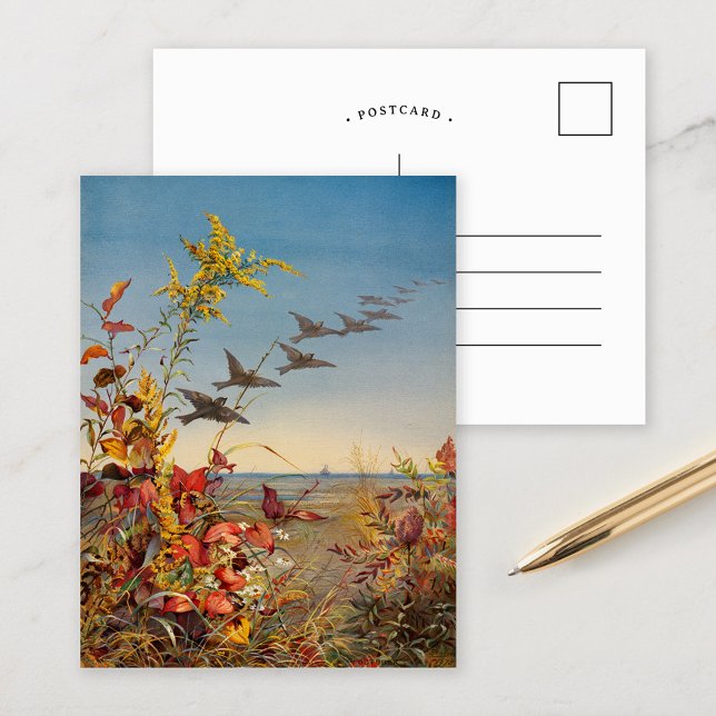 oktober | Fidelia Bridges Vykort (Skapare uppladdad)