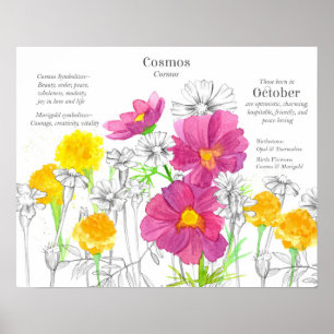 Oktober födelsedagsblomma Blommornas språk Sammetb Poster