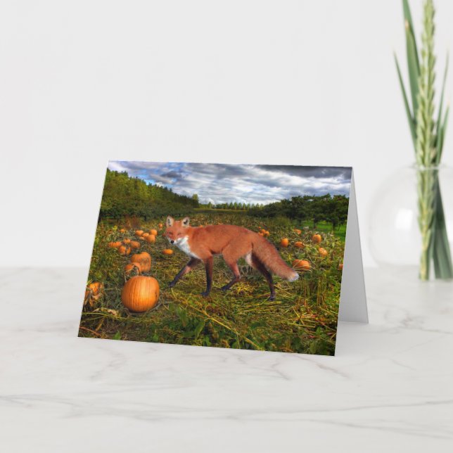 ’oktober Fox’ Hälsning Kort (Framsida)