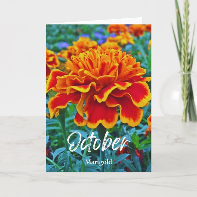 Oktober Gult Guld Marigold Birth Month Flower Kort (Framsida)