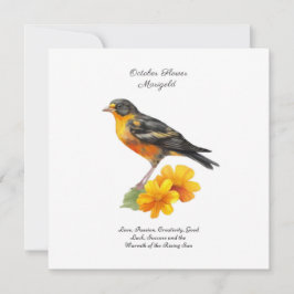 Oktober Marigold Flower och Bird Birth