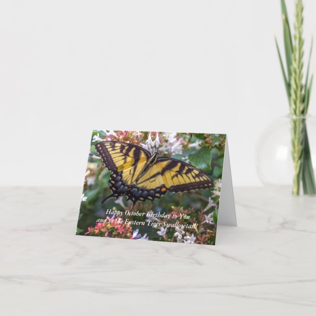 Oktober Östra Tiger Swallowtail Birthday Card Kort (Framsida)