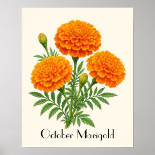 Oktober Samväligor Blommor Poster