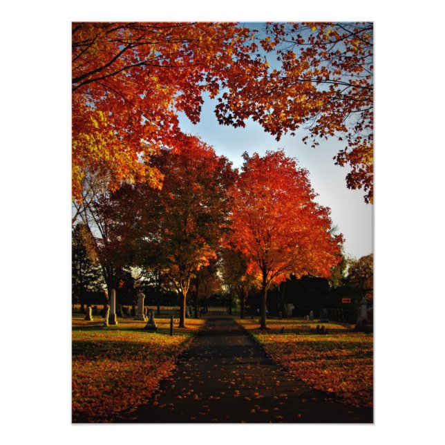 "Oktober Shine" Fototryck (Framsidan)