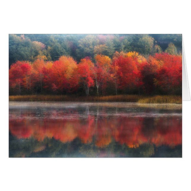 Oktober Träd Hälsningskort (Framsidan Horizontal)