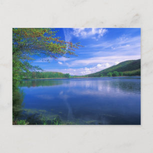 Oktoberbergsstat Forest Berkshires Vykort