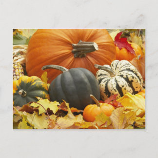OktoberDekoration Vykort