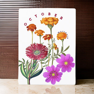 Oktobermånaden Flowers Marigold & Cosmos   Vykort