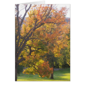 Oktobersockerrör Hälsningskort