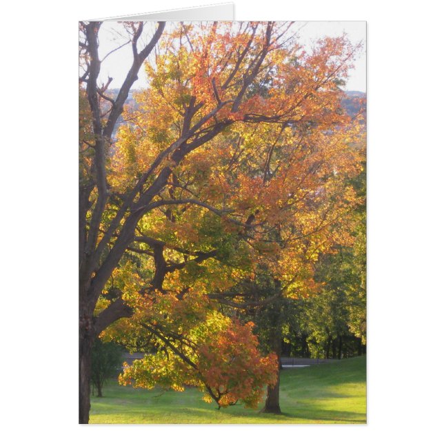 Oktobersockerrör Hälsningskort (Framsidan)