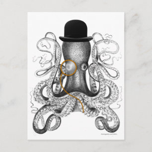 Oktopus monokle Bowlareare Hat- kuriositet Vykort