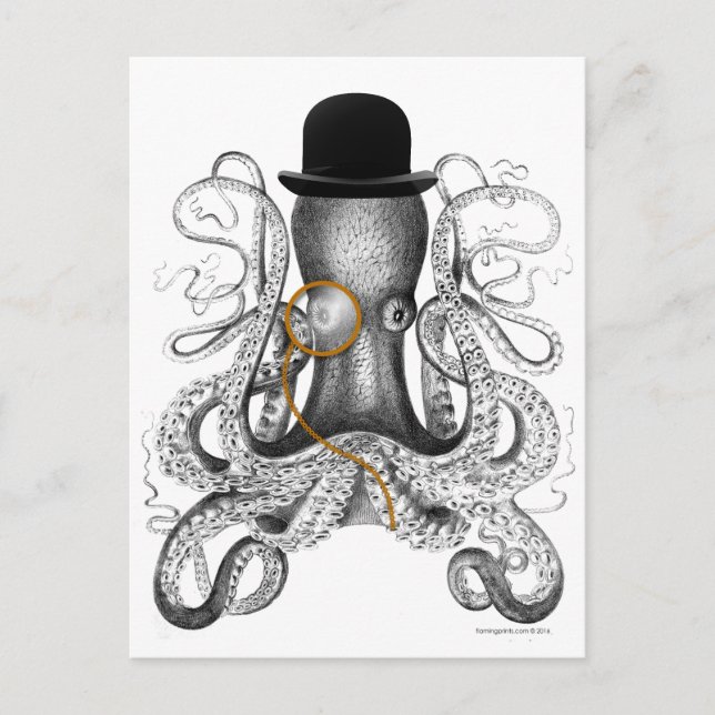 Oktopus monokle Bowlareare Hat- kuriositet Vykort (Framsida)