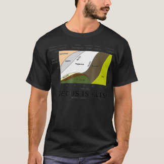 Okunnig är Bliss Geology Sten Geek Humor  T Shirt