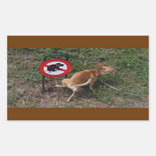 Okunnighet är Bliss Bad Chihuahua Rektangulärt Klistermärke