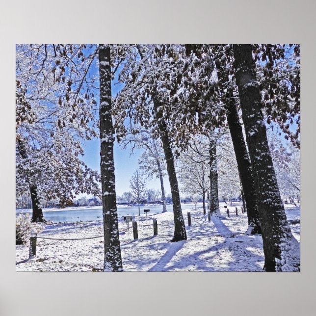 "OLANDER PARK IN SNÖ" POSTER (Framsidan)