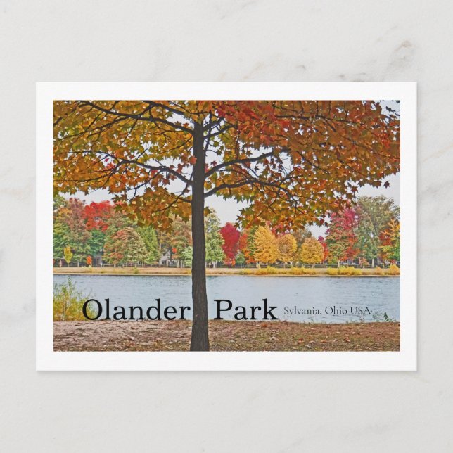 Olander Park, Sylvania, Ohio USA/Autumn Färg Vykort (Framsida)
