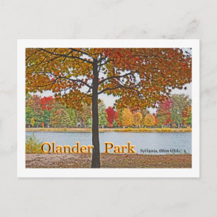 Olander Park, Sylvania, Ohio USA/Autumn Färg Vykort