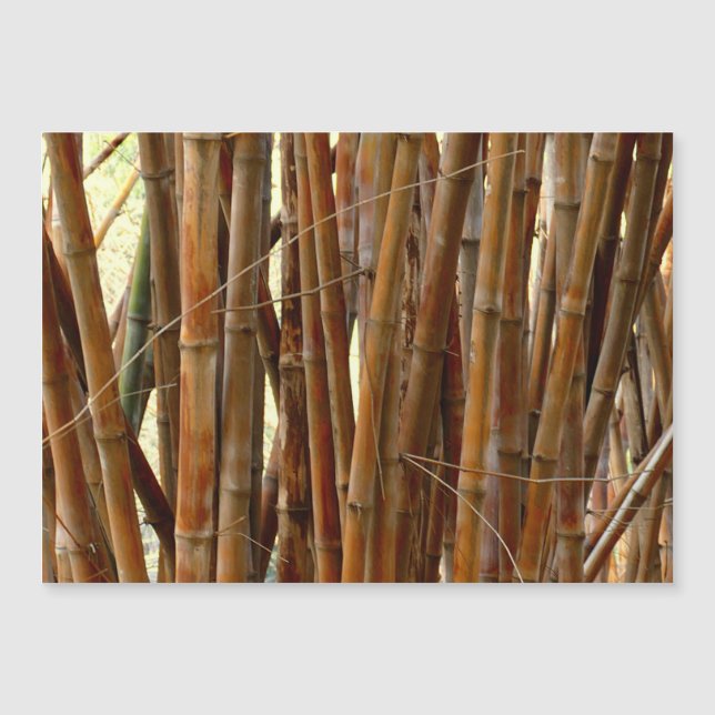Old Bamboo (Framsida)