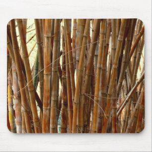 Old Bamboo Musmatta