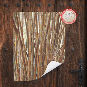 Old Bamboo Poster