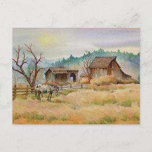 OLD BARN & APPALOSA AV SHARON SHARPE VYKORT