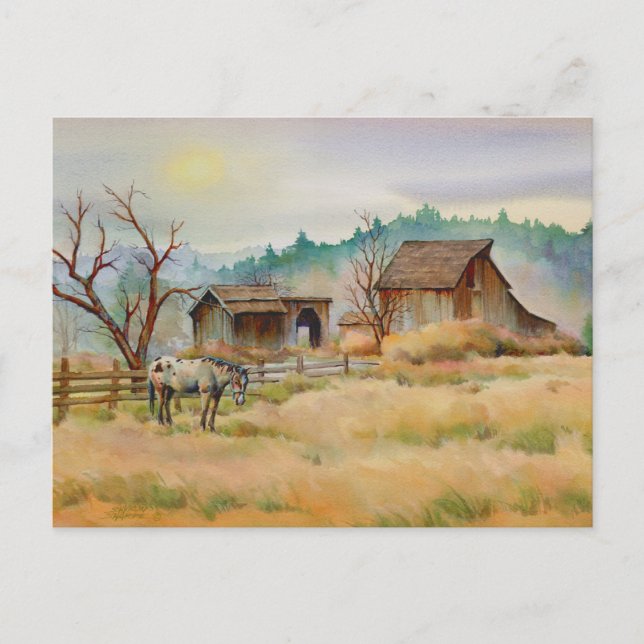 OLD BARN & APPALOSA AV SHARON SHARPE VYKORT (Framsida)