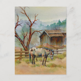 OLD BARN & APPALOSA AV SHARON SHARPE VYKORT