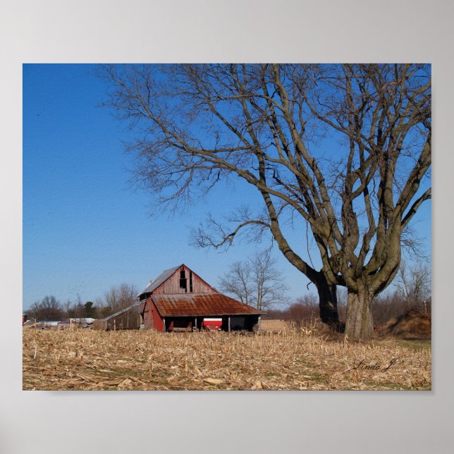 Old Barn in Illinois USA Kanvastryck Poster (Framsidan)