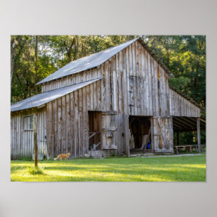 Old Barn Poster