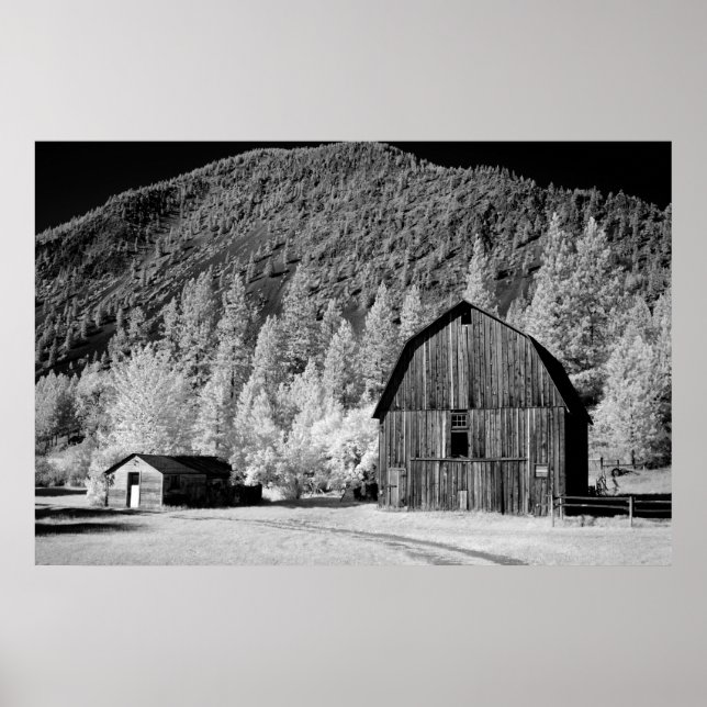 Old Barn Poster (Framsidan)