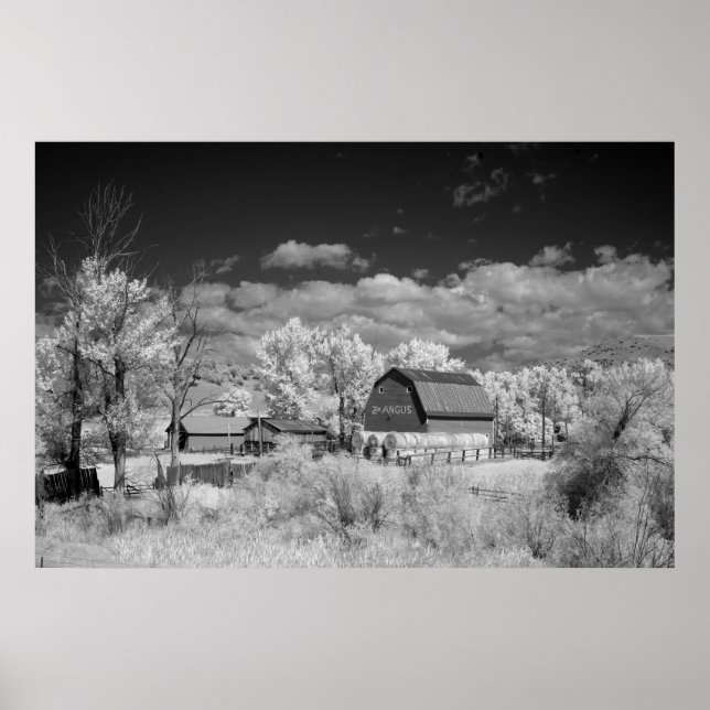 Old Barn Poster (Framsidan)