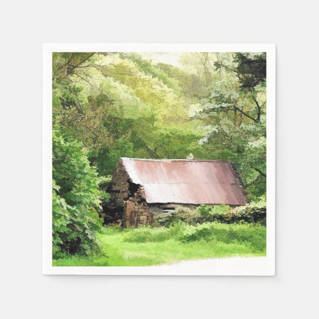 OLD BARNS PAPPERSSERVETT (Framsidan)