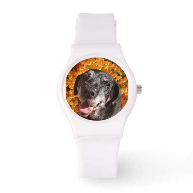 Old Black Labrador Armbandsur (Framsida)