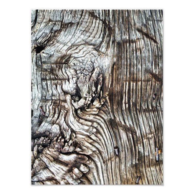 OLD ENGLAND FOTOTRYCK (Framsidan)